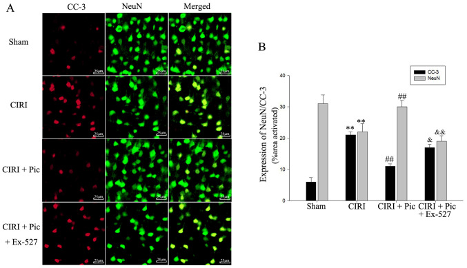 Figure 6.