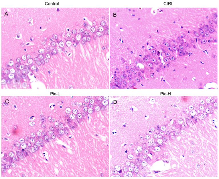 Figure 2.