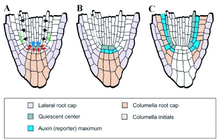 Figure 10.