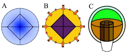 Figure 16.