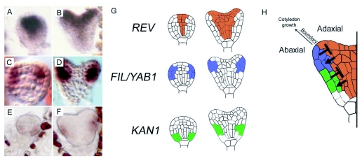 Figure 15.