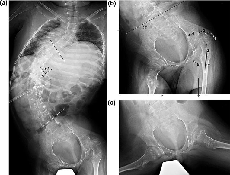 Fig. 1