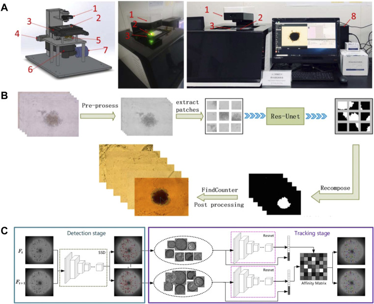 FIGURE 11