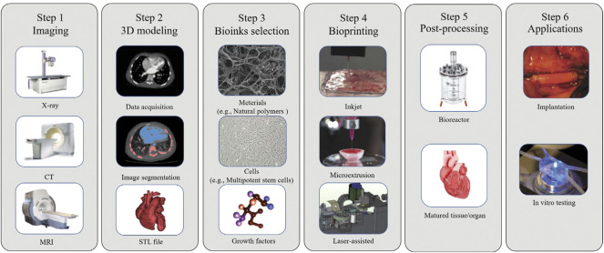 FIGURE 3