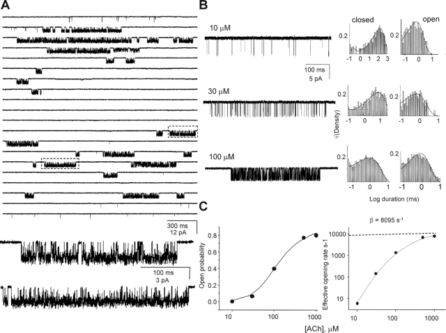 Figure 12. 