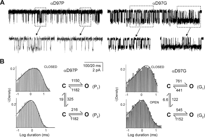 Figure 10. 