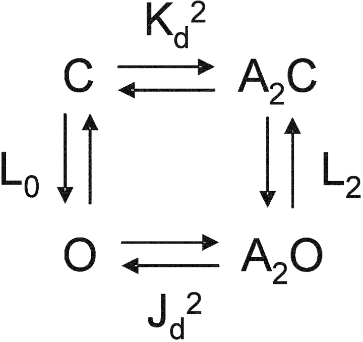 SCHEME III