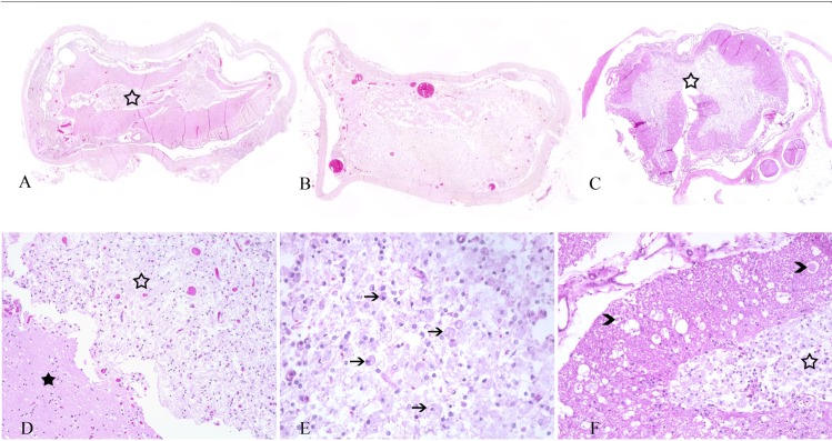 Fig 3