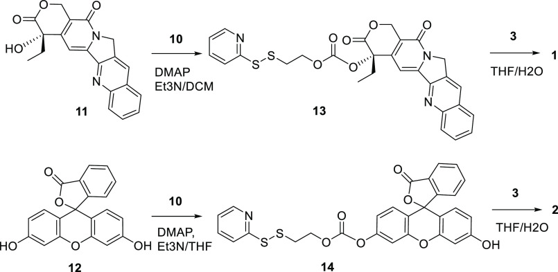 Scheme 4