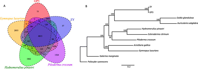 Fig. 4