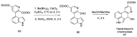 Scheme 25