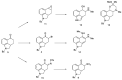 Scheme 3