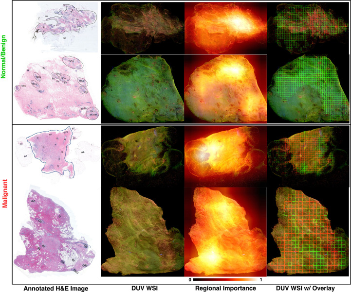 Figure 3