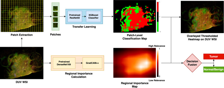 Figure 1