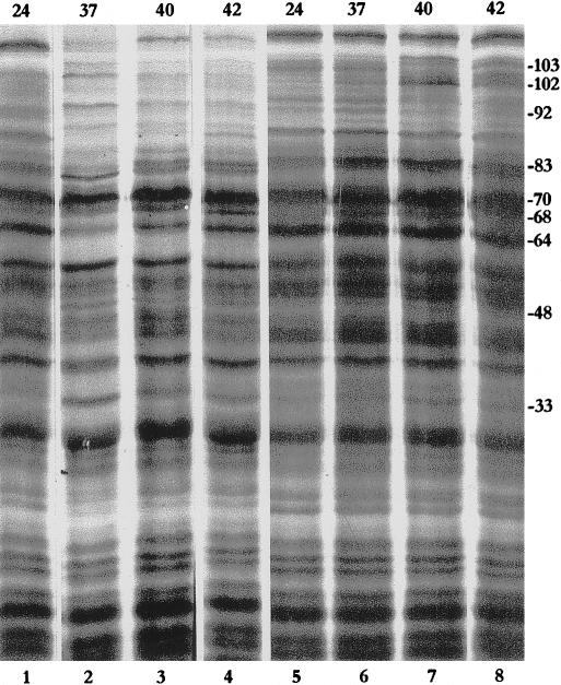 Fig 3.