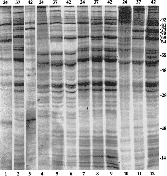 Fig 2.