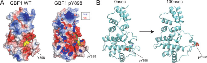 Figure 6—figure supplement 1.