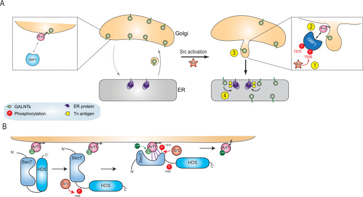 Figure 7.