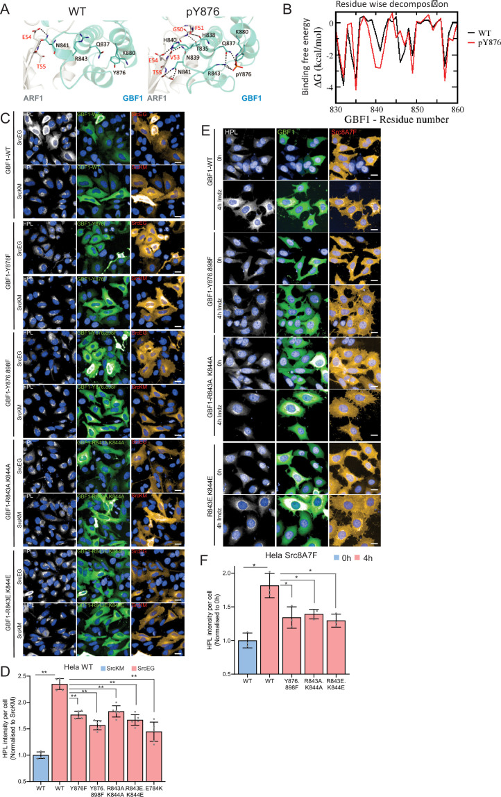 Figure 6—figure supplement 2.