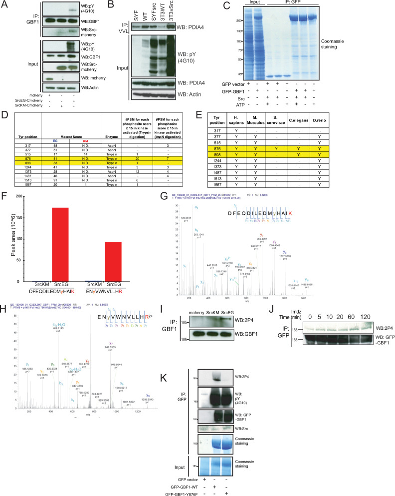 Figure 4—figure supplement 1.