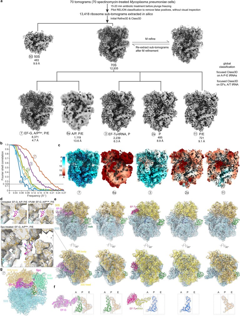 Extended Data Fig. 10