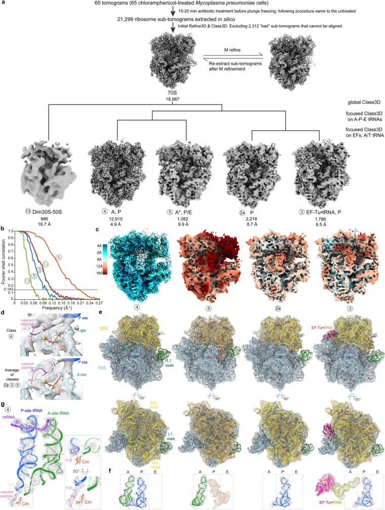 Extended Data Fig. 9