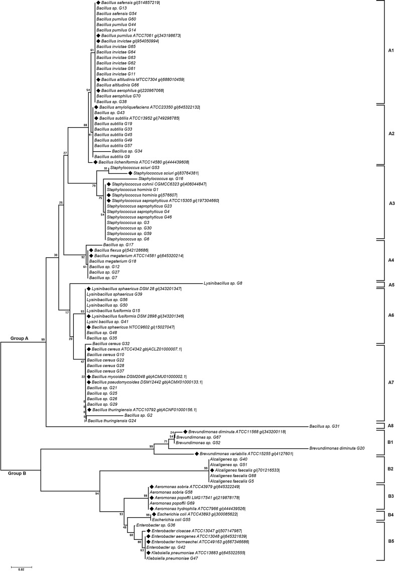 Fig. 2