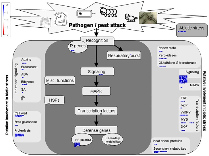 Fig 4