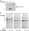 FIG. 8.