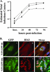 FIG. 4.