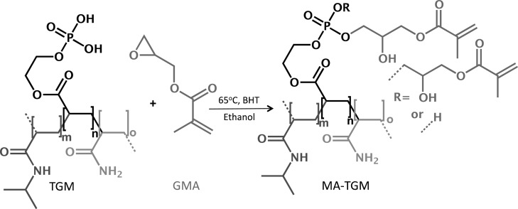 Scheme 2