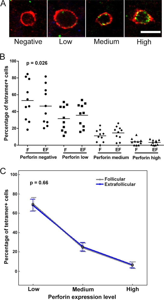 FIG 6