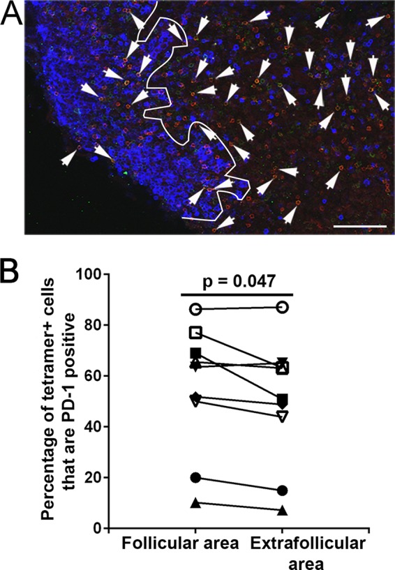 FIG 2