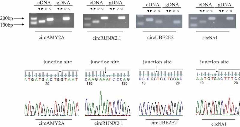 Figure 4.