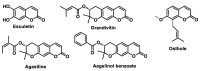 Figure 39