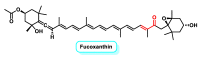 Figure 24