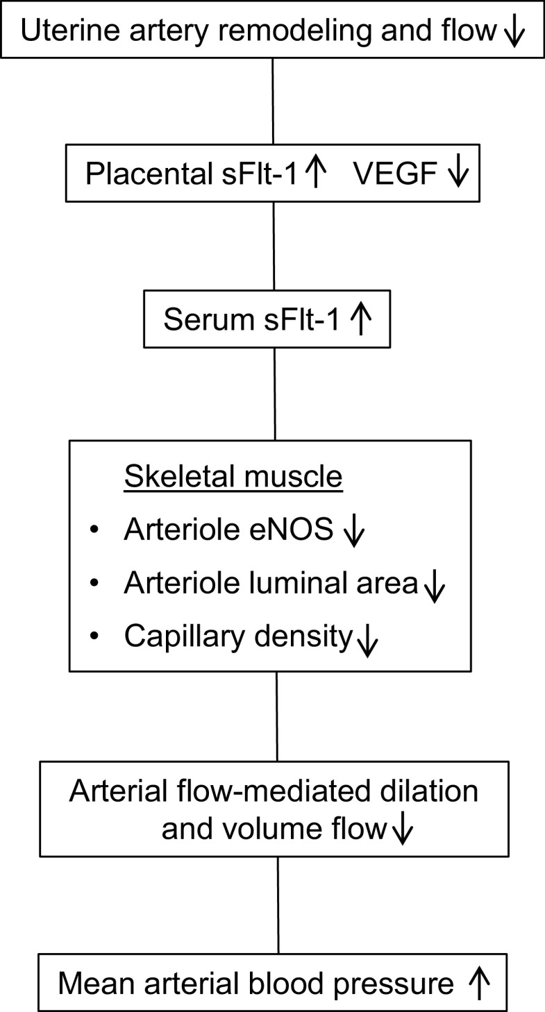 Figure 8.