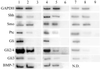Fig 4.