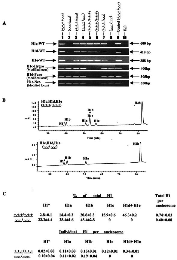 FIG.3.