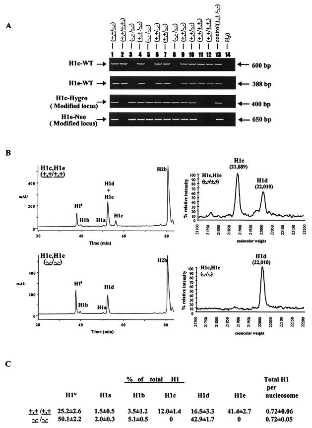 FIG.2.