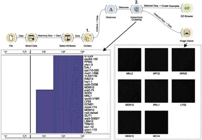 Fig. 3