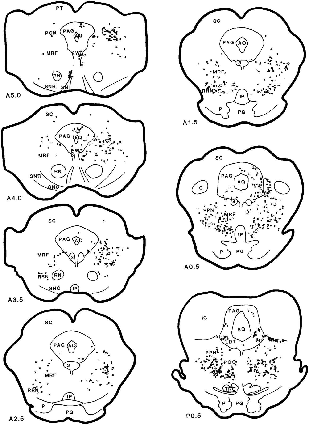 Fig. 5.