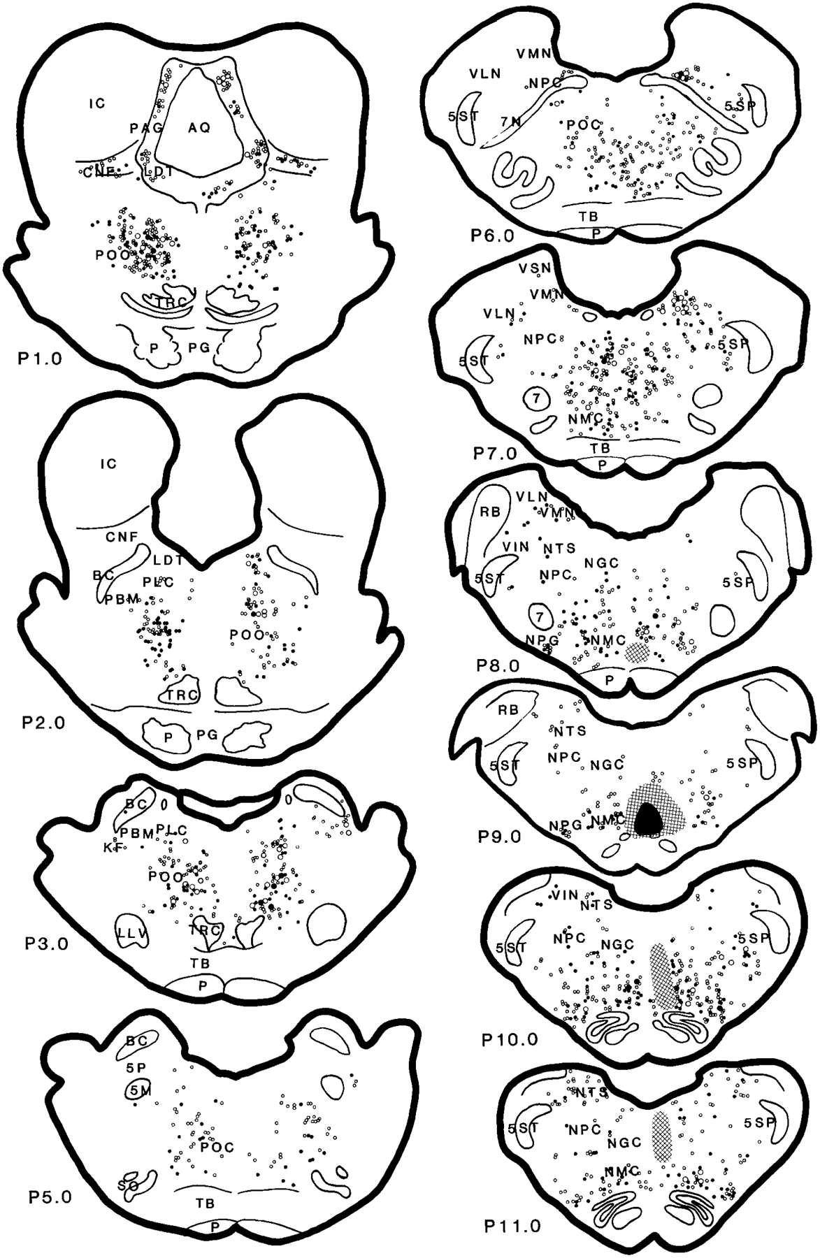 Fig. 7.