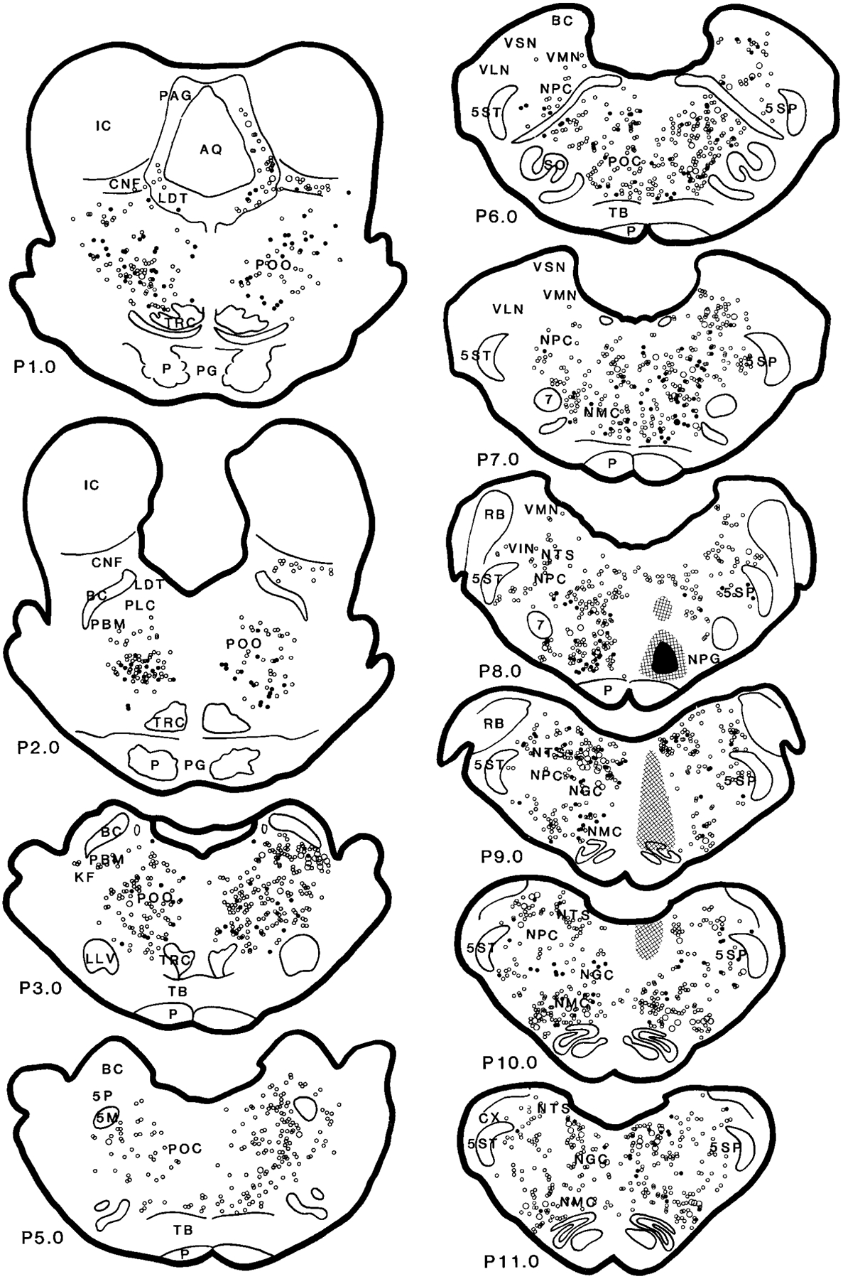 Fig. 6.