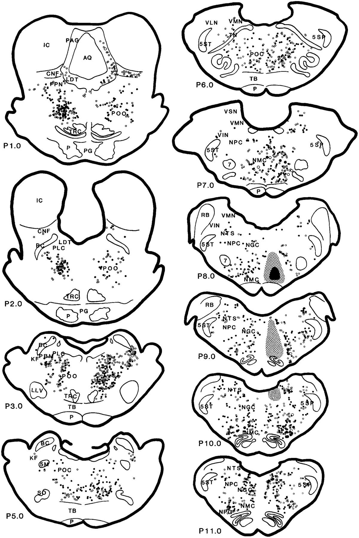 Fig. 5.