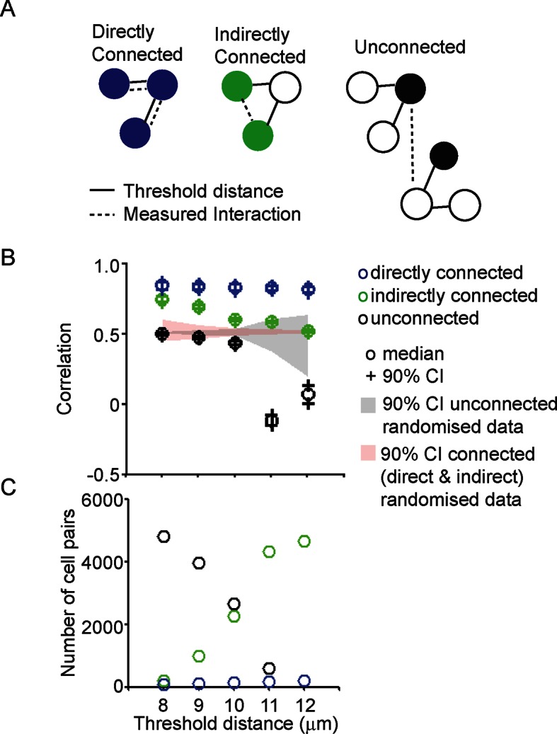 Figure 3—figure supplement 2.