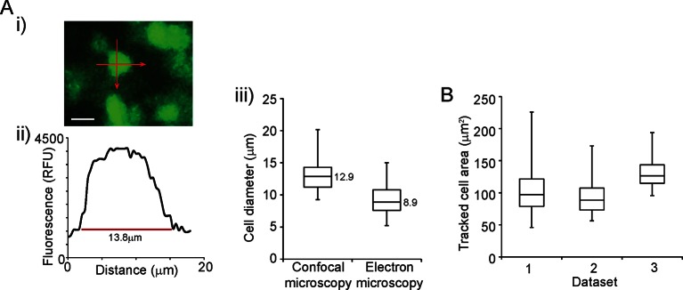 Figure 1—figure supplement 1.