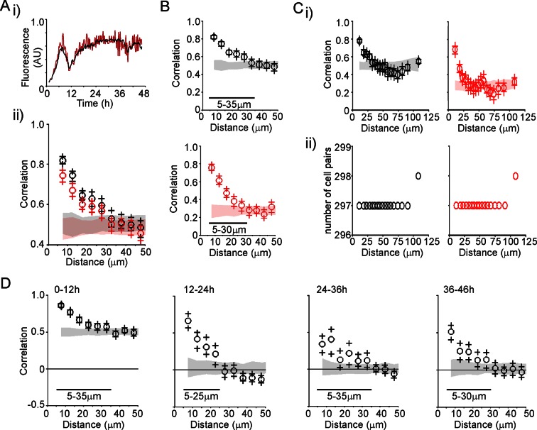 Figure 3—figure supplement 1.