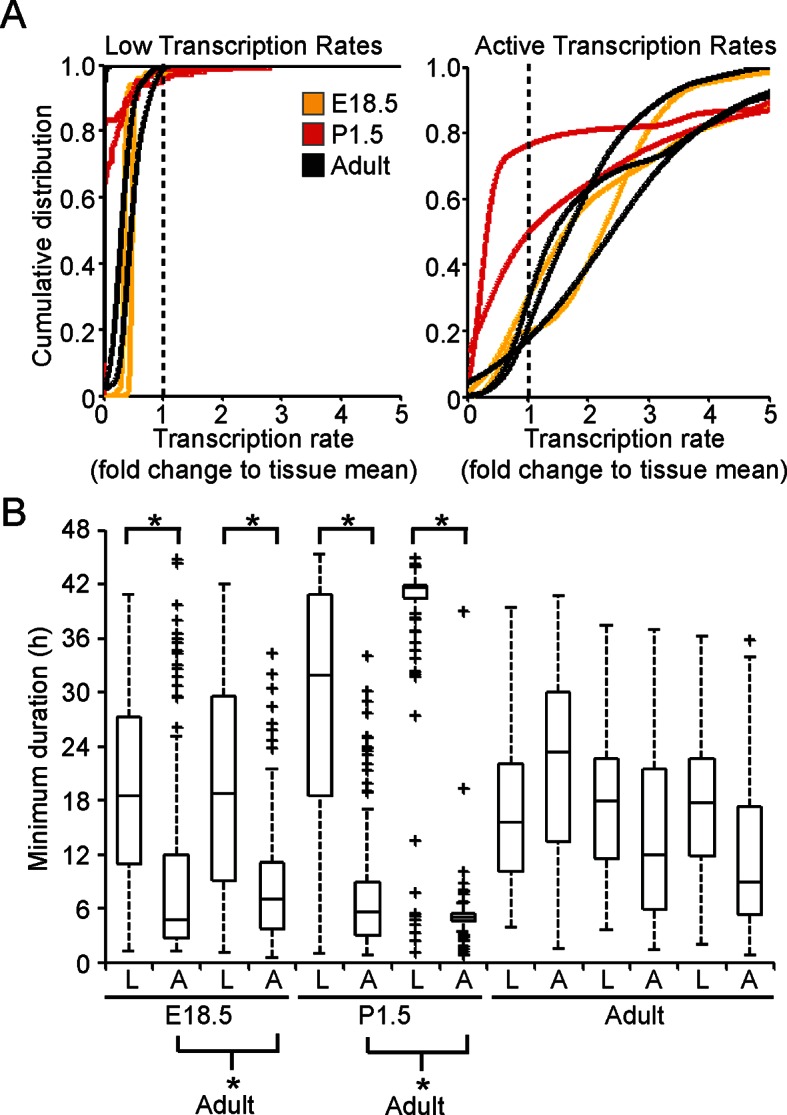 Figure 7—figure supplement 1.