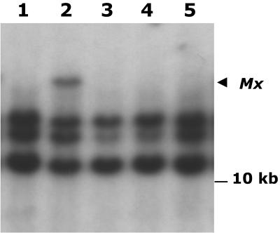 Figure 6.